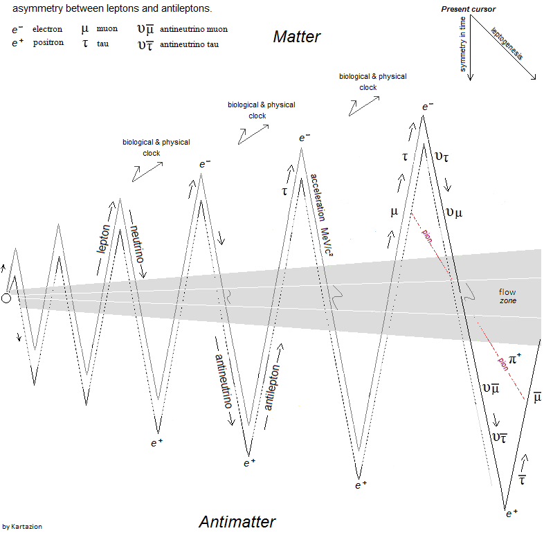 Fermionic Model & Aymmetry Matter Antimatter