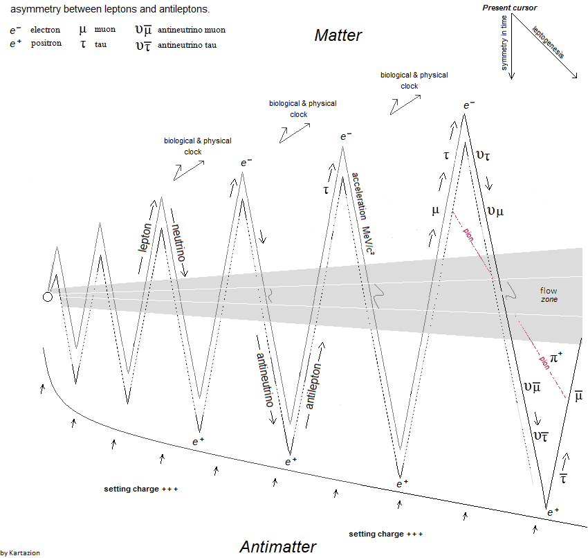 Fermionic Model - Asymmetry between Lepton and Antilepton